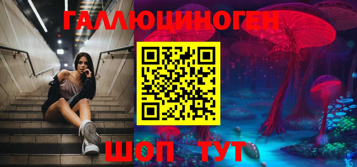 Псилоцибиновые грибы Cubensis Жигулёвск