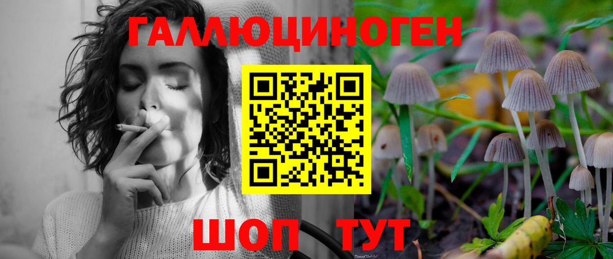 Псилоцибиновые грибы мицелий  Псилоцибиновые грибы мицелий  Вход с VPN  Жигулёвск 